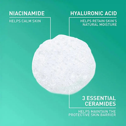 Cerave Foaming Cleanser (USA)